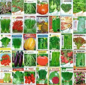 600 seeds wholesale and retail 30 kinds of different vegetable seed family potted balcony garden four seasons planting