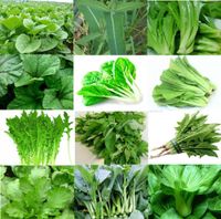mehr als 1200 Samen jeder Satz 12 Arten von grünen Gemüsesamen, Rapssamen Wasser Spinat Chinakohl Salat Sowthistle