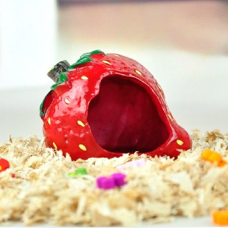 strawberry hamster hideout