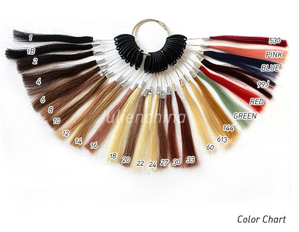 26 Colors Human Hair Color Ring Color Chart Color Wheel for Hair Extensions  bella hair offering