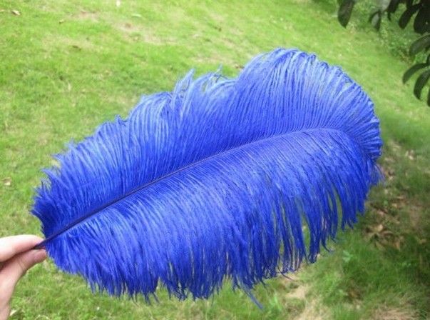 royal blue feather centerpieces
