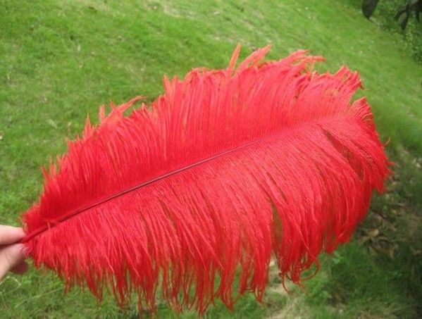

Wholesale -100 pcs/lot 14-16inch Red Ostrich Feather for wedding table centerpieces wdding decor party supply decor