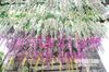 2017熱い販売のシルクの花の造花藤の日の家の家庭菜園のウェディングデコレーション