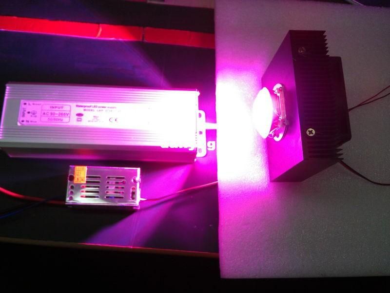 Led Grow Light Kit,DIY Full Spectrum Grow Light ,50w Led +50 Driver