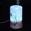 Mini Difusor de Aromaterapia Portable Difusor Colorido Home Umidificador 100ml Aroma Difusão Ar Purificador Bebê Festival Presentes