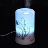 Mini draagbare aromatherapie diffuser kleurrijke thuisbevochtiger 100 ml aroma diffusie lucht purifier baby festival cadeaus