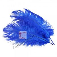 Hurtownia Bezpłatna Wysyłka 100 sztuk / partia 12-14 cal (30-35 cm) Royal Blue Strusi Feather Plume Dla Wedding Centerpiece Home Decor