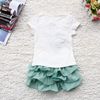 2018 Summer Baby Tutu Skirt Set 3D Flower Cotton Tshirt 2PCS Girl Tutu Skirts Suit