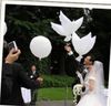 Décoration de mariage ballon colombe blanche ballons de mariage blancs ballons à hélium biodégradables écologiques faveurs de fête 10 pièces/lot