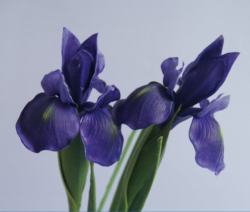 Real Touch Flowers Latex Artificial Iris Multicolors Wonderful