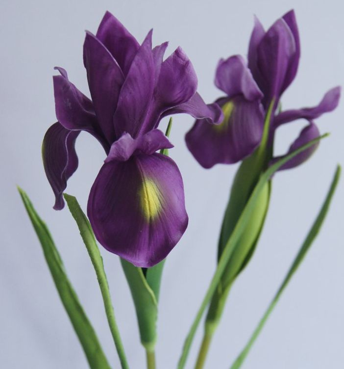 Real Touch Flowers Latex Artificial Iris Multicolors Wonderful