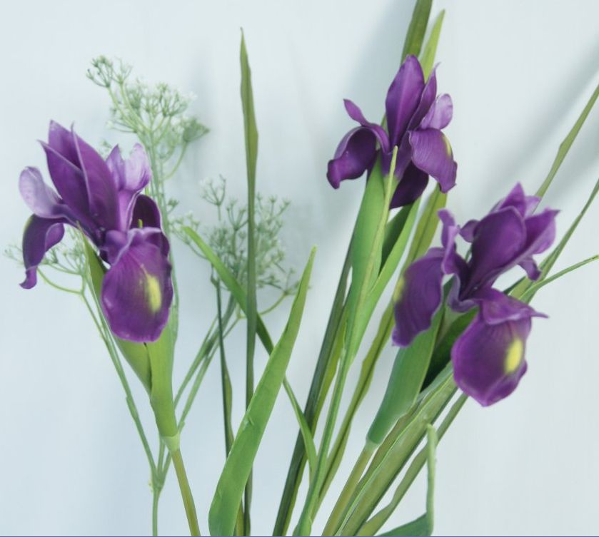 Real Touch Flowers Latex Artificial Iris Multicolors Wonderful