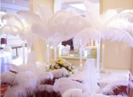 Natural Ostrich Feather Plume white feather Wedding Centrepieces table Centrepiece 10pcs/lot