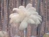 Naturel Plume d'autruche plume blanc plume centres de table de mariage centre de table 10pcs / lot