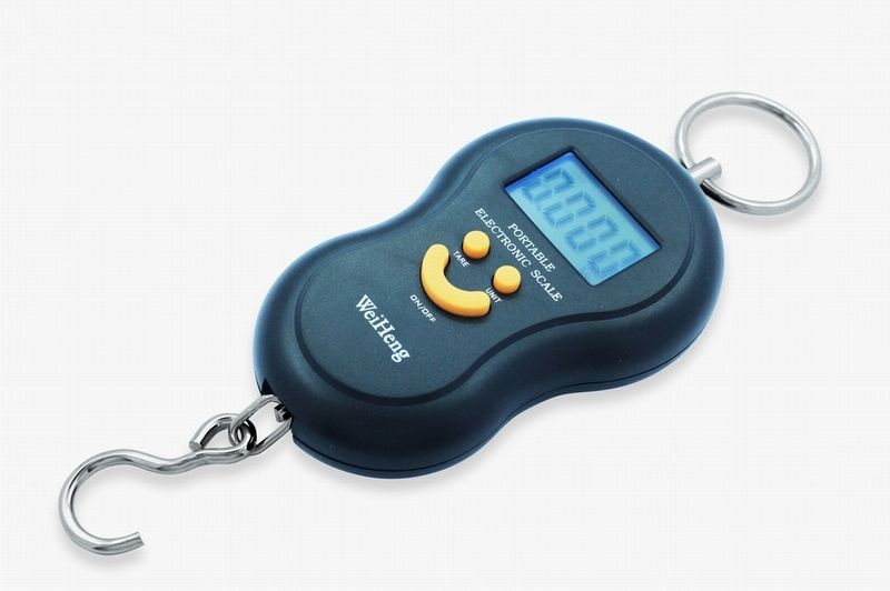 portable electronic scale 50kg