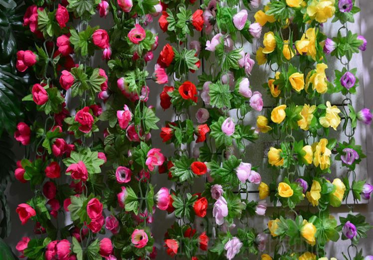 Carlsbad flower fields discount coupon 2018