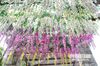 2014 Hot Sale Silk Flower Artificial Flower Wisteria Vine Rattan för Alla hjärtans dag Hem Garden Hotell Bröllopsdekoration