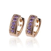 Wholesale Cute Womens Purple Amethyst Gold Plated S925 Sterling Silver Hoop Earrings E060