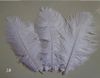 11 couleurs blanc noir Plumes d'autruche Plumes bijoux à bricoler soi-même plume d'autruche moelleuse garniture de fête de mariage Boa décor 100 pièces 68quot 1598466460029