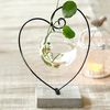 Modele eksplozji w kształcie serca szklane wazon szklany kwiat hydroponiczny mała świeża dekoracja domu