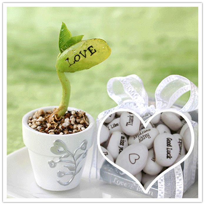 magic bean seed