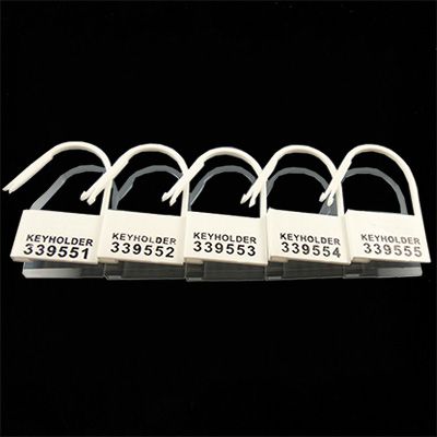 30 stks/partij Plastic Chastity Cock Cage Sloten Wegwerp 5 Verschillende Nummers Sleutelhouder Genummerd Bdsm Bondage Gear Accessoires