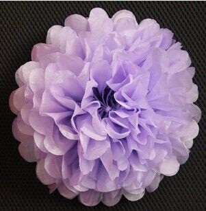 Tissue Paper Pom Poms Paper Lantern Pom Pom Blooms Flower Balls