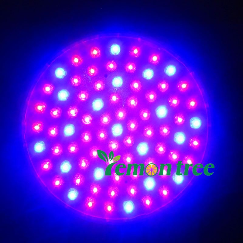 E27 RED and BLUE 80 LED 4.5 W Hydroponic Plant Grow Growth LED Light Bulb 85-265V