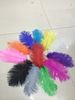 Livraison gratuite blanc autruche plumes plumes plume d'autruche noir garniture boa bricolage fête de mariage décor de scène 10-12 pouces 25-30 cm