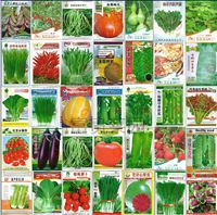 Wholesale retail seeds kinds of different vegetable seed family potted balcony garden fruit seeds four seasons planting
