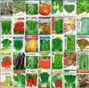 wholesale retail 1000 seeds 30 kinds of different vegetable seed family potted balcony garden fruit seeds four seasons planting