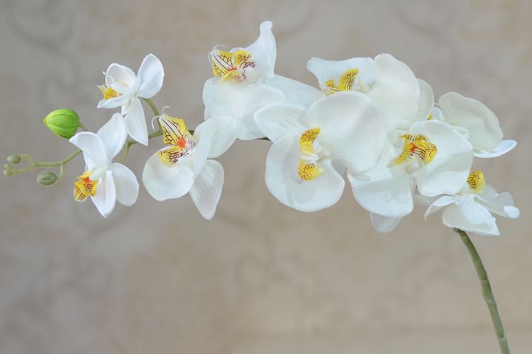 Partihandel 10st / parti Konstgjorda falska Phalaenopsis Butterfly Orchid blommor Cymbidium levererar silkeblommor för bröllopsdekorationer