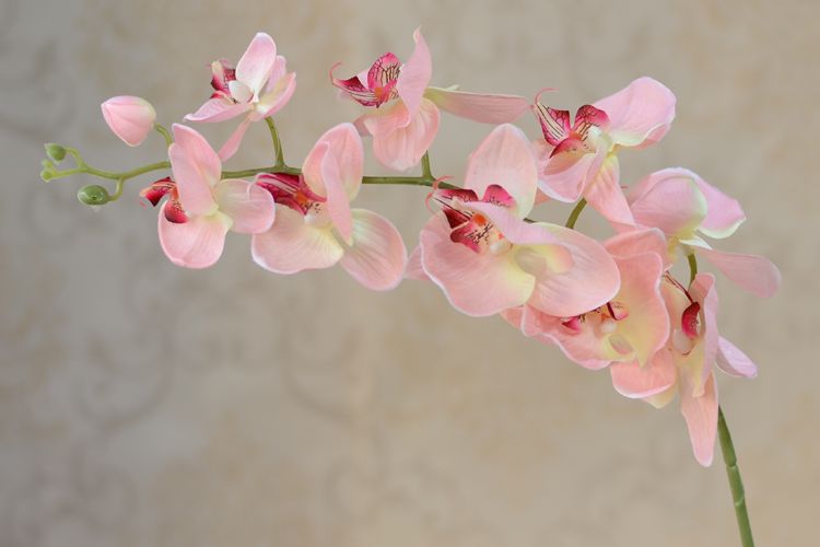 Partihandel 10st / parti Konstgjorda falska Phalaenopsis Butterfly Orchid blommor Cymbidium levererar silkeblommor för bröllopsdekorationer
