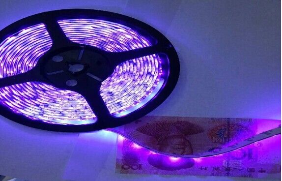 100 m 5050 3528 SMD-LED-Streifen, violett/rosa, einfarbig, wasserdicht, IP65, nicht wasserdicht, flexibel, 300 LEDs, LED-Streifen, 100 m, von DHL