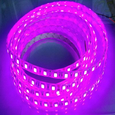 100 m 5050 3528 SMD-LED-Streifen, violett/rosa, einfarbig, wasserdicht, IP65, nicht wasserdicht, flexibel, 300 LEDs, LED-Streifen, 100 m, von DHL