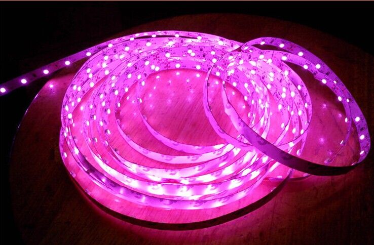 100m 5050 3528 SMD LED Strip Light Fioletowy / Różowy Pojedynczy Kolor Wodoodporna IP65 Non-Wodoodporna Elastyczna 300 LED Paski LED 100 metrów DHL