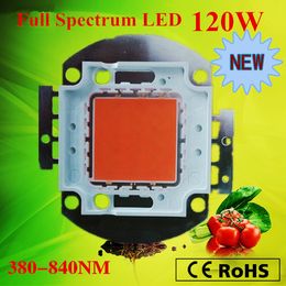 2019 New Arrival grow light chip full spectrum 380-840nm 120W led grow light array for indoor DIY growth and bloom free shipping