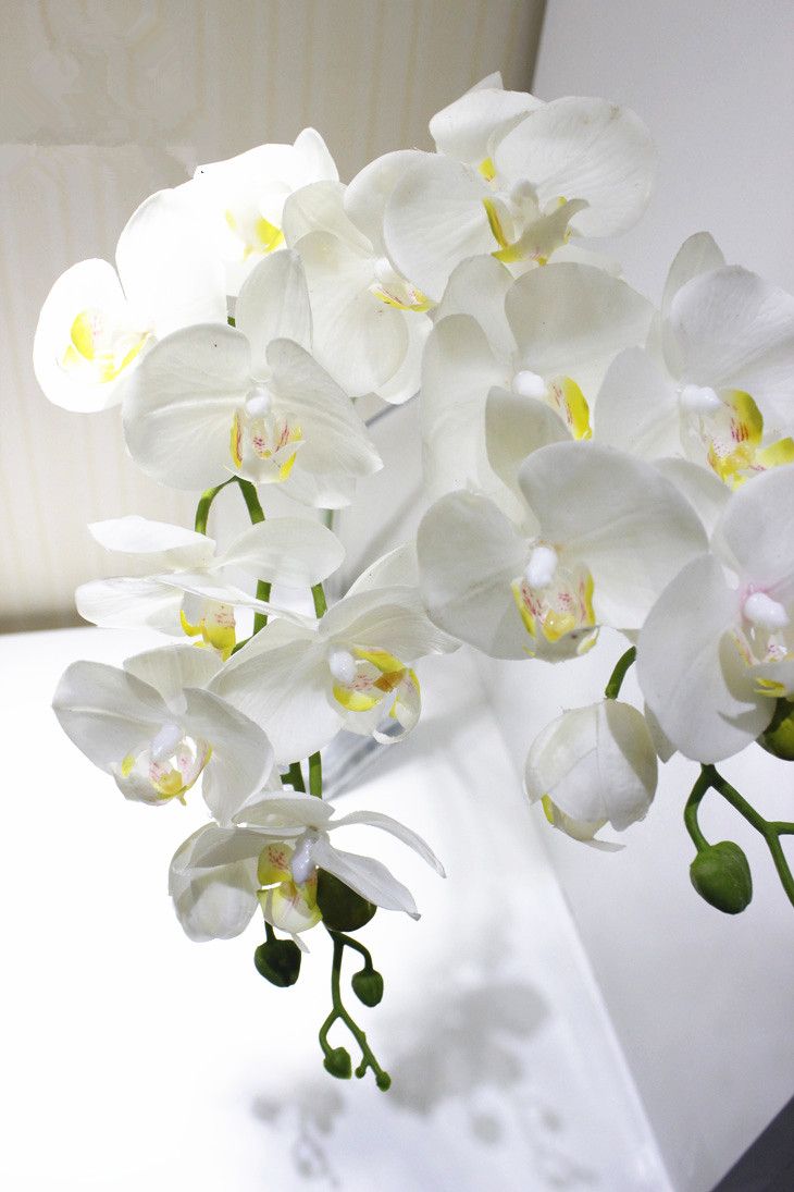 2020 PU Phalaenopsis Real Touch Butterfly Orchid Fake ...