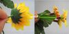 Bracketplant Sunflower 75cm / 29.53 "künstliche Silk Blumen Sunflowers 2Pcs / lot Blume Rebe für Hochzeit Home Weihnachtsschmuck
