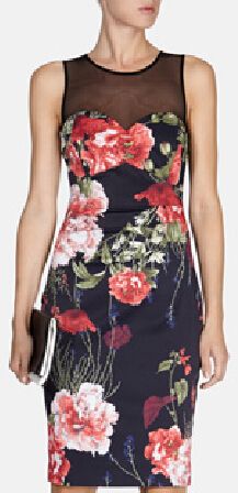 

Fashion Rose Floral Print Women Bodycon Dress Sexy Mesh Neckline Party Dresses DT116, As pictures