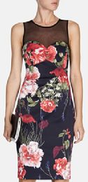 Fashion Rose Floral Print Women Bodycon Dress Sexy Mesh Neckline Party Dresses DT116