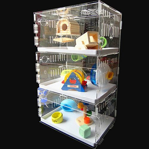 transparent hamster cage