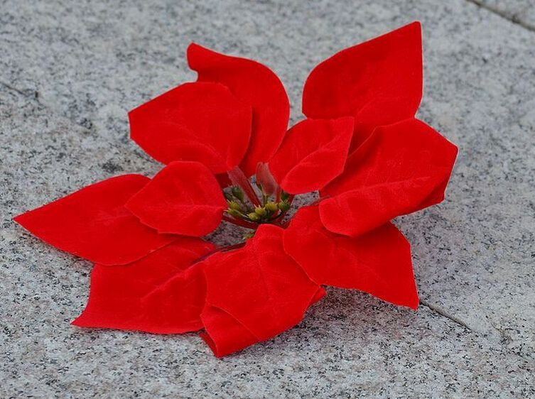 100 Uds 8,6 "flores rojas cabezas de flores artificiales de seda Navidad boda ramo de novia decoración