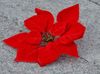 100 pcs 8.6 "Red Flowers Artificial Silk Flor Heads Decoração de Casamento De Noiva Bouquet De Noiva