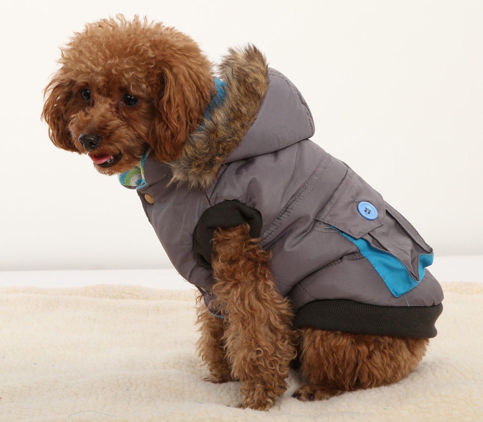 2020 Pet Clothes Wholesale Winter Warm Dog Cotton Removeable Hoodie Padded Coat Quilted Jacket ...
