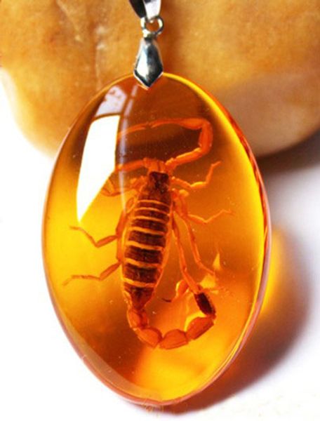 

Colares com Pingente my_spring