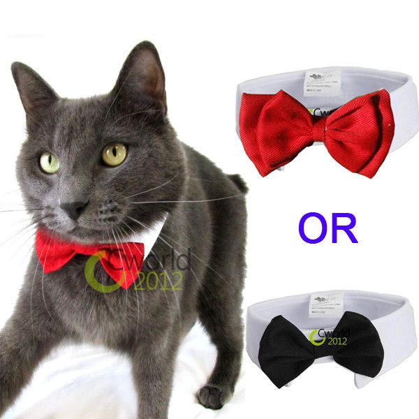 black bow tie cat collar