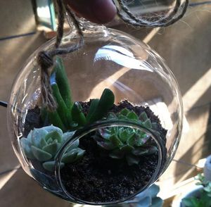 ホウ症ガラス吊り先の花瓶の卓上花瓶ホームデコ透明な直径6 cm XB1