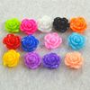 Groothandel-100 stks * Nieuwe Collectie Populaire Rose Resin Flower 3D Nail Art Charm Decoration Fashion Style Gratis verzending NRRMIX