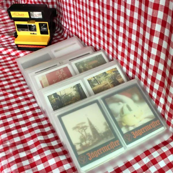 Albums Album translucide Polaroid Photo Fujfilm Instax Wide 600 Films de PX680 PX600 PX100 Ins classeur porte-cartes photo cadeau mémoire